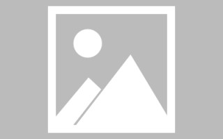 东平网页设计英文默认字体（网页设置英文转换中文）